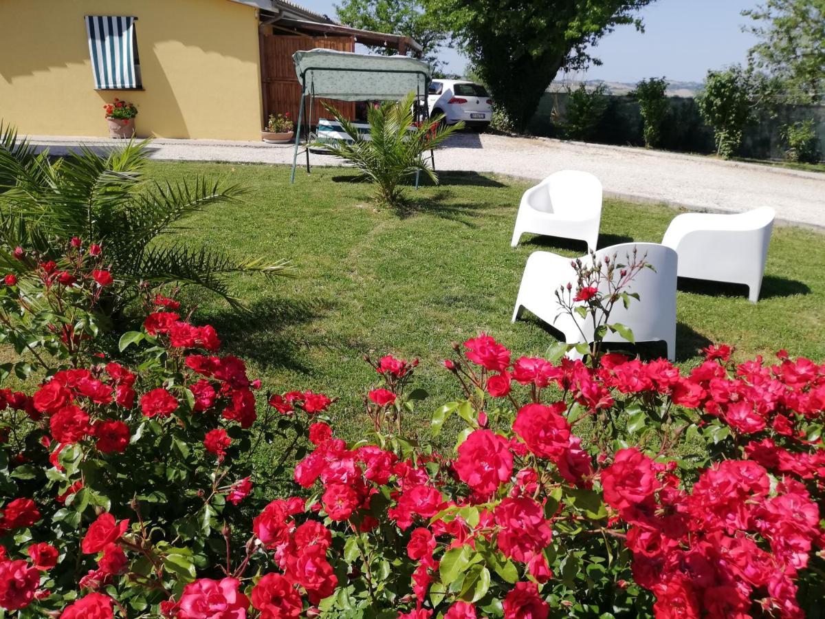 Casa Vacanze Angelica Ostra Vetere Exterior photo