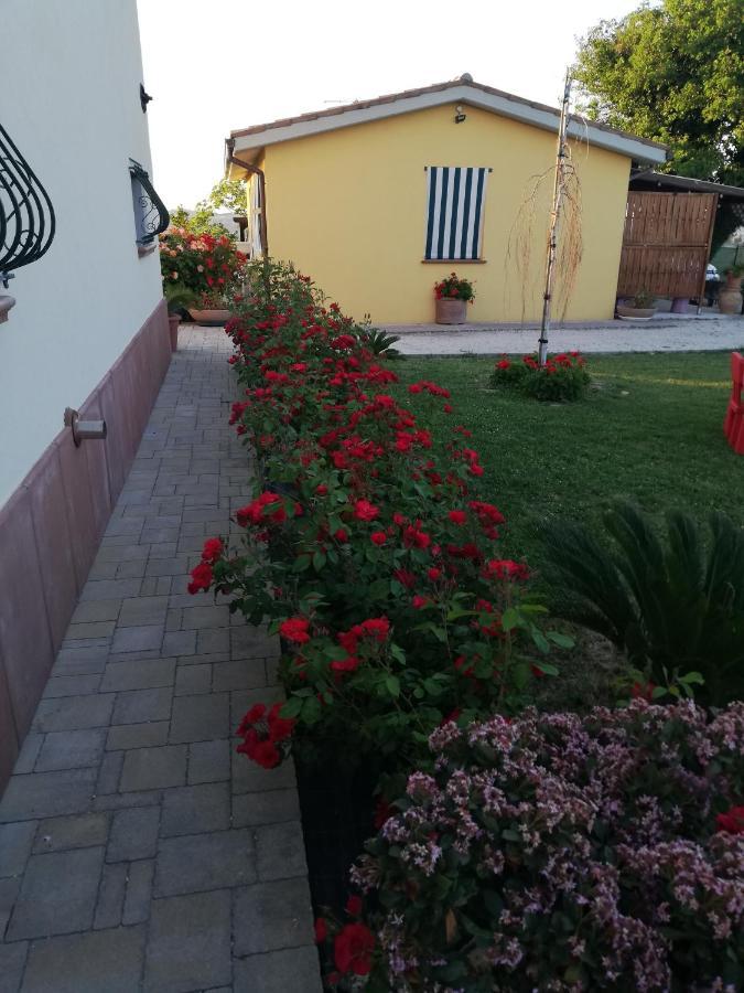 Casa Vacanze Angelica Ostra Vetere Exterior photo